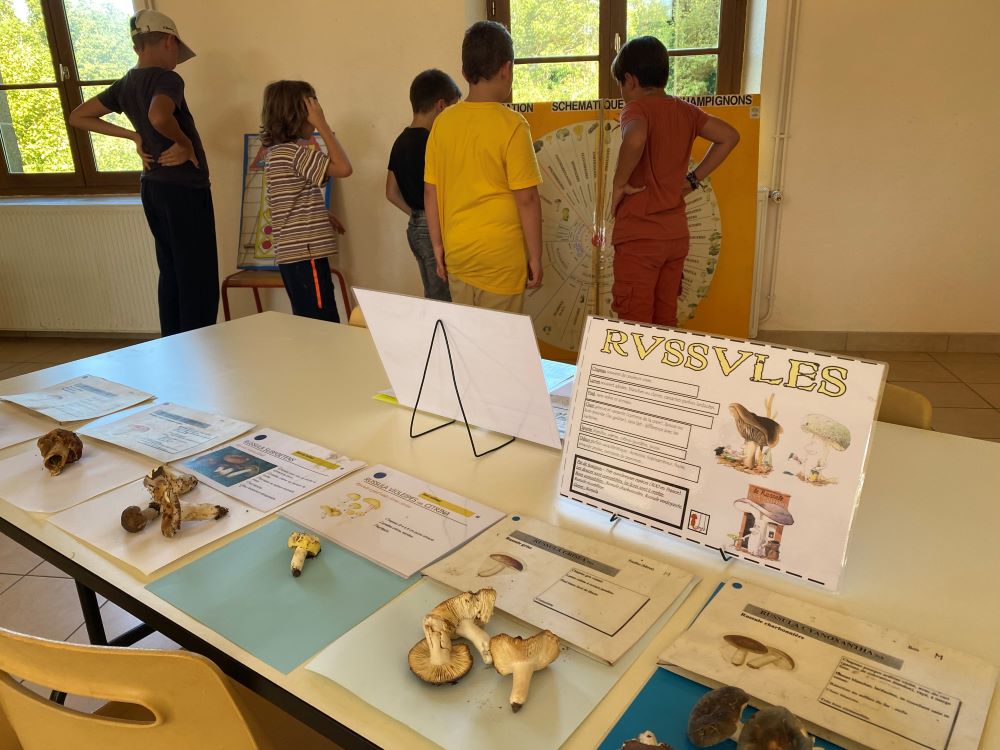 EXPOSITION DE CHAMPIGNONS